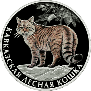 Серебряная монета 2 рубля «Кавказская лесная кошка», 2026 — реверс